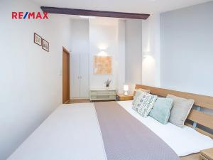 Prodej bytu 2+kk, Praha - Staré Město, Havelská, 66 m2