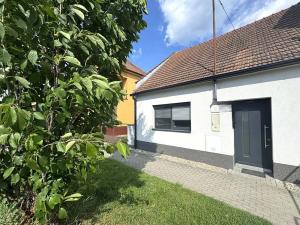 Prodej rodinného domu, Hrušovany u Brna, Havlíčkova, 170 m2