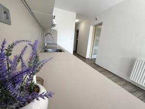Prodej rodinného domu, Hrušovany u Brna, Havlíčkova, 170 m2