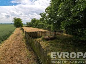 Prodej rodinného domu, Nový Bydžov - Skochovice, Skochovice, 220 m2