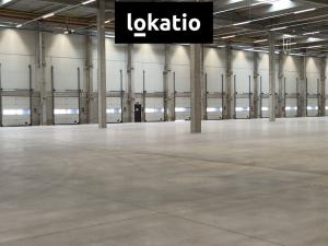 Pronájem skladu, Pardubice - Rosice, 14739 m2