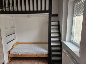 Pronájem bytu 1+1, Krupka, Bohosudovská, 45 m2