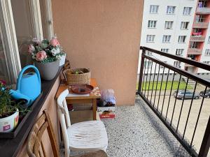 Prodej bytu 1+1, Sušice, Sirkařská, 37 m2