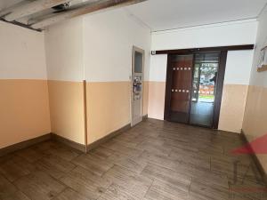 Prodej bytu 1+1, Sušice, Sirkařská, 37 m2
