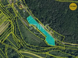 Prodej pozemku pro bydlení, Radějov, 3693 m2