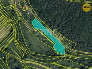 Prodej pozemku pro bydlení, Radějov, 3693 m2