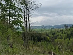 Prodej lesa, Bukovina u Čisté, 12070 m2
