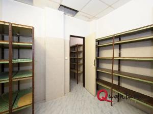 Prodej obchodního prostoru, Praha - Nusle, Slavojova, 149 m2