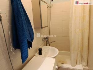 Pronájem bytu 1+kk, Praha - Záběhlice, Přesličková, 28 m2