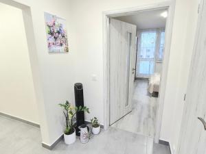 Prodej bytu 2+1, Prostějov, Václava Špály, 57 m2