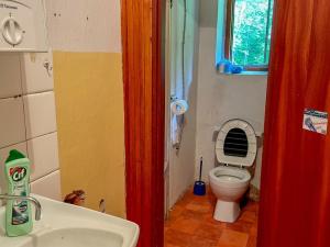 Prodej rodinného domu, Horní Vltavice, 480 m2