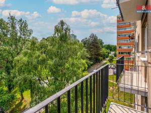Prodej bytu 2+1, Praha - Žižkov, Hartigova, 53 m2