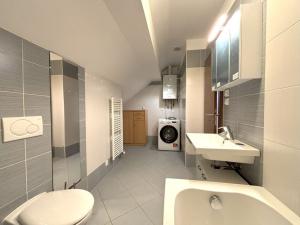 Pronájem bytu 2+kk, Plzeň - Východní Předměstí, Jablonského, 51 m2