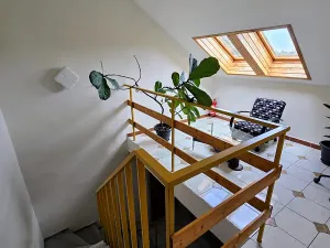 Pronájem rodinného domu, Praha - Braník, U háje, 360 m2
