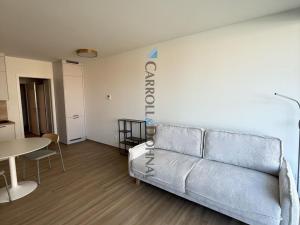 Pronájem bytu 1+kk, Ostrava - Slezská Ostrava, U Hájenky, 34 m2
