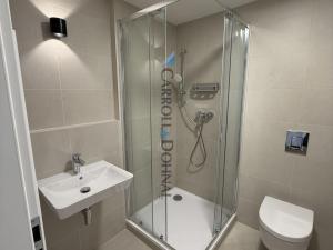 Pronájem bytu 1+kk, Ostrava - Slezská Ostrava, U Hájenky, 34 m2