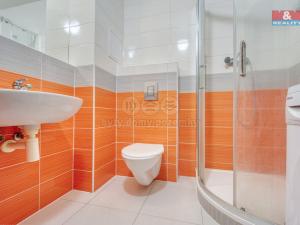 Pronájem bytu 1+kk, Plzeň, Klatovská, 25 m2