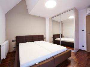 Pronájem bytu 3+kk, Brno, Jánská, 63 m2