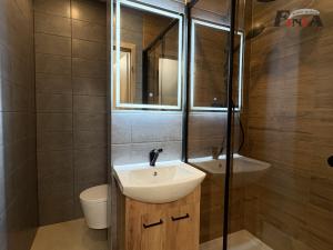 Pronájem bytu 1+1, Česká Lípa, Na Výsluní, 40 m2