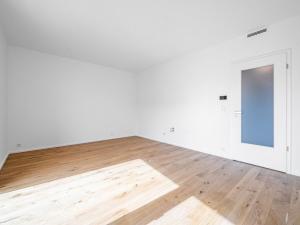 Pronájem bytu 1+kk, Praha - Strašnice, V Rybníčkách, 35 m2