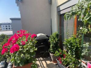Prodej bytu 2+kk, Praha - Vysočany, Jana Přibíka, 58 m2