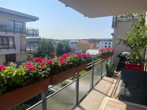 Prodej bytu 2+kk, Praha - Vysočany, Jana Přibíka, 58 m2