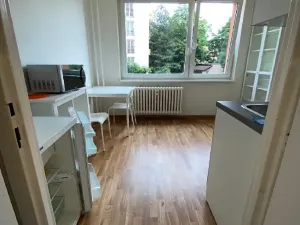 Pronájem bytu 1+1, Praha - Žižkov, Pod lipami, 38 m2