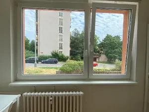 Pronájem bytu 1+1, Praha - Žižkov, Pod lipami, 38 m2