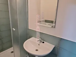 Pronájem bytu 1+1, Ostrava, Palackého, 40 m2