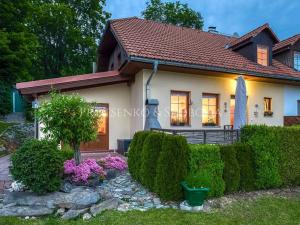 Prodej chalupy, Přední Výtoň, 164 m2