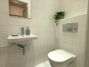 Pronájem bytu 3+1, Praha - Žižkov, Vlkova, 140 m2