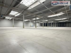 Pronájem výrobních prostor, Bor - Nová Hospoda, 20662 m2