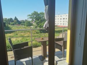 Pronájem bytu 4+kk, Hořice, Aloise Hlavatého, 146 m2