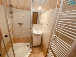 Prodej bytu 1+1, Jihlava, Erbenova, 39 m2