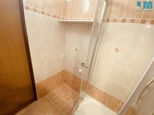 Prodej bytu 1+1, Jihlava, Erbenova, 39 m2