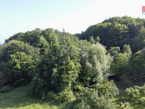 Prodej chalupy, Vlksice - Klokočov, 135 m2