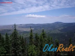Prodej lesa, Oseček, 78338 m2
