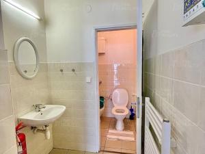 Pronájem obchodního prostoru, Rychnov nad Kněžnou, Zborovská, 67 m2
