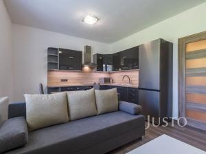 Pronájem bytu 2+kk, Staré Město, Mahenova, 45 m2