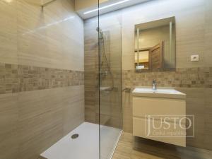 Pronájem bytu 2+kk, Staré Město, Mahenova, 45 m2