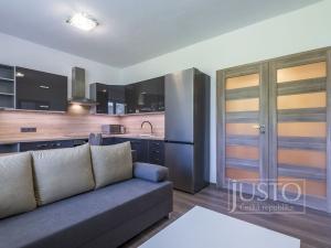 Pronájem bytu 2+kk, Staré Město, Mahenova, 45 m2