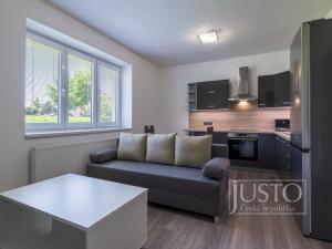 Pronájem bytu 2+kk, Staré Město, Mahenova, 45 m2