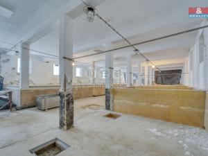 Prodej obchodního prostoru, Starý Kolín, Za poštou, 3398 m2