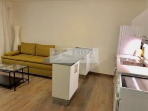 Pronájem bytu 1+kk, Brno, Merhautova, 37 m2