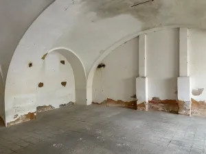 Pronájem výrobních prostor, Planá, Zámecká, 250 m2