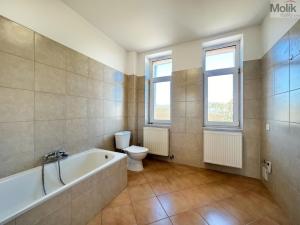 Pronájem bytu 1+1, Teplice, Jateční, 50 m2