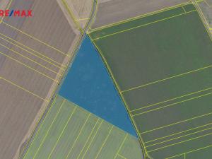 Prodej pole, Kněžice, 40299 m2