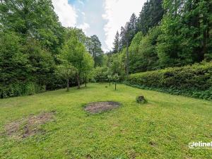 Prodej chalupy, Svojanov, 85 m2