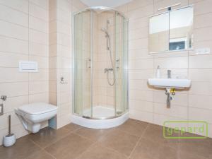 Prodej bytu 1+kk, Milovice - Mladá, Armádní, 49 m2