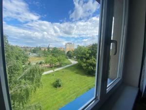Prodej bytu 2+1, Praha - Žižkov, Pod lipami, 54 m2